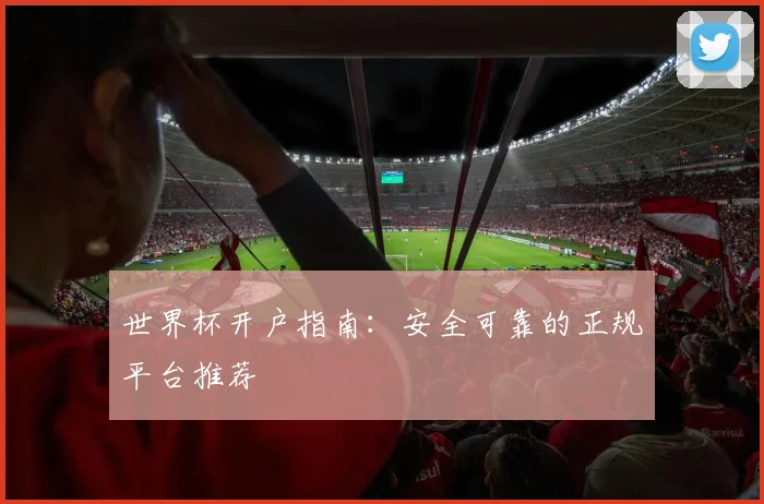 世界杯开户指南:安全可靠的正规平台推荐