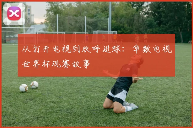 从打开电视到欢呼进球:华数电视世界杯观赛故事