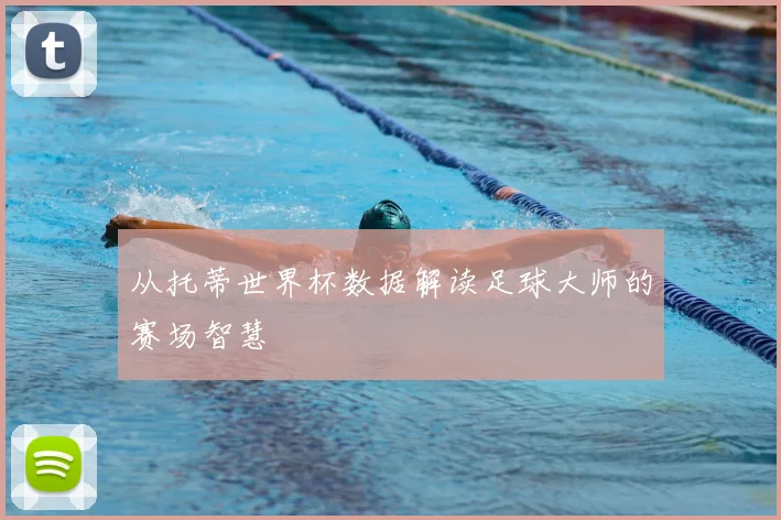 从托蒂世界杯数据解读足球大师的赛场智慧