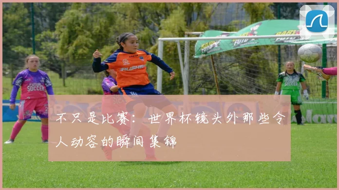 不只是比赛:世界杯镜头外那些令人动容的瞬间集锦
