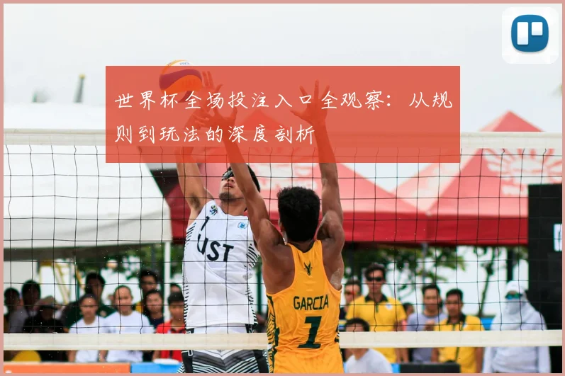 世界杯全场投注入口全观察:从规则到玩法的深度剖析